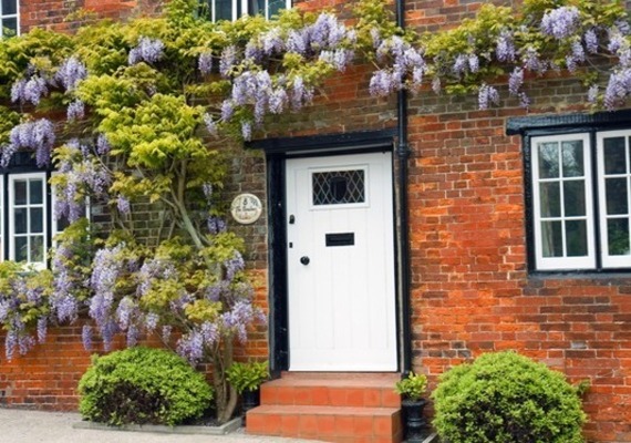 From Wisteria to boxwoods we have got your trimming needs covered.