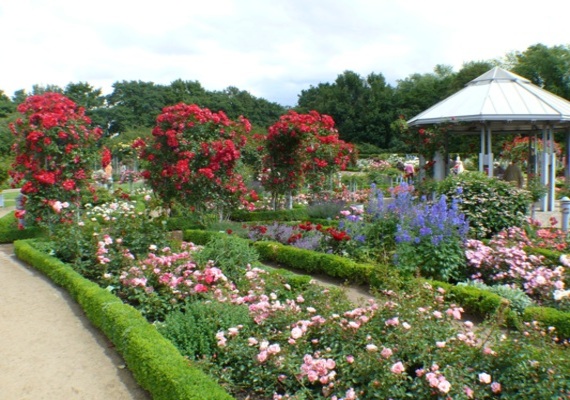 Whether you’re adding to an existing design or starting fresh, we will create a unique design for you and your yard.