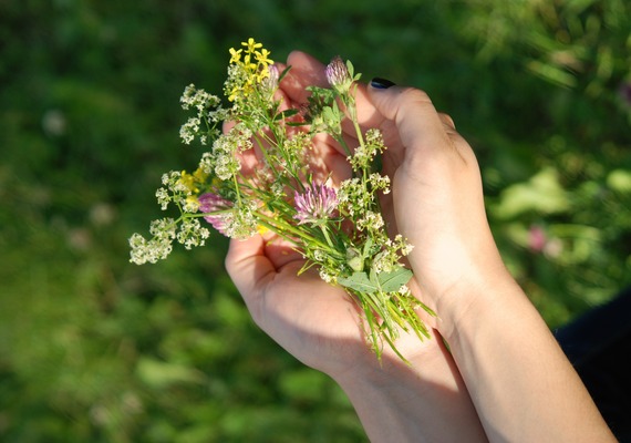 We plant with care so your plants can be successful.  We also do transplanting projects and plant dividing for appropriate perennials.